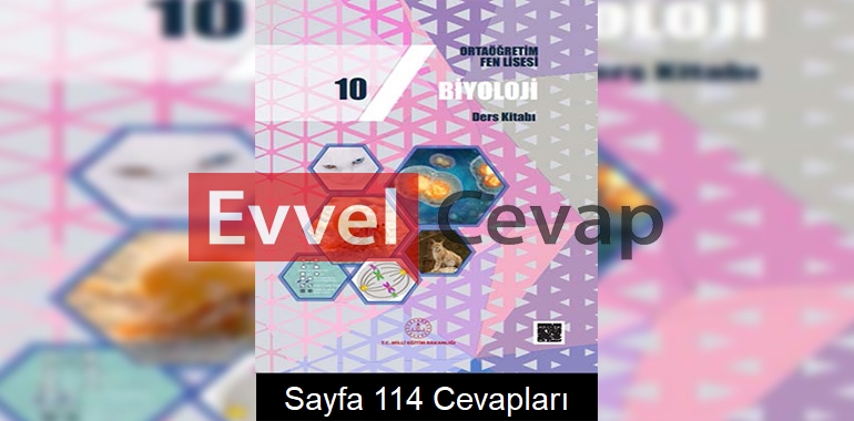 10. Sınıf Fen Lisesi Biyoloji Ders Kitabı Cevapları Sayfa 114 
