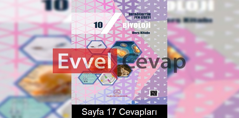 10. Sınıf Fen Lisesi Biyoloji Ders Kitabı Cevapları Sayfa 17 