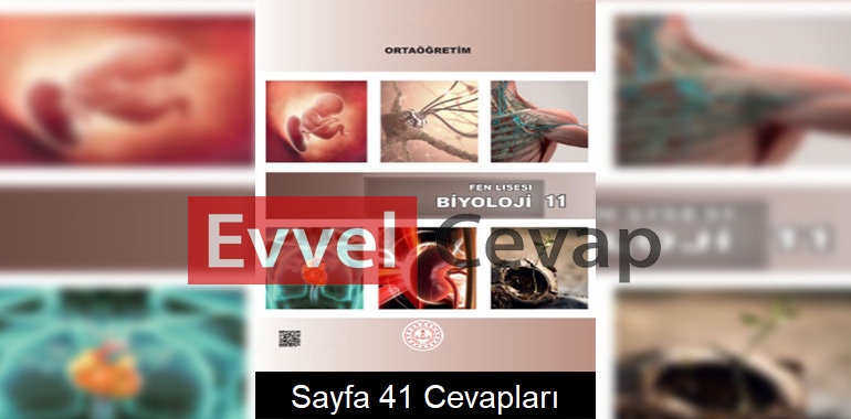 11. Sınıf Fen Lisesi Biyoloji Ders Kitabı Cevapları Sayfa 41 