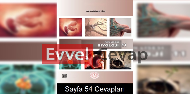 11. Sınıf Fen Lisesi Biyoloji Ders Kitabı Cevapları Sayfa 54 