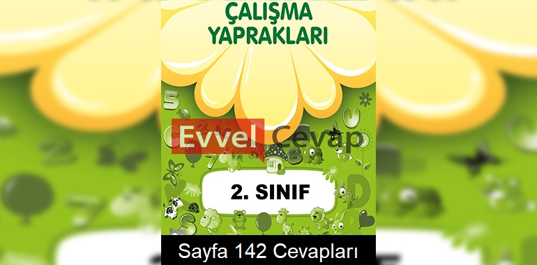 2. Sınıf Çalışma Yaprakları Cevapları Sayfa 142