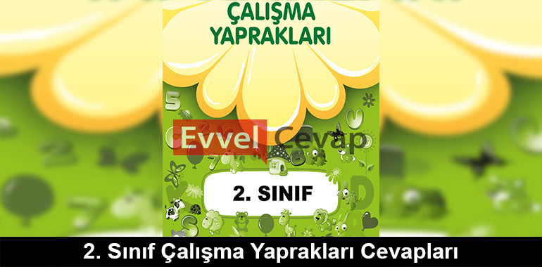 2. Sınıf Çalışma Yaprakları Cevapları