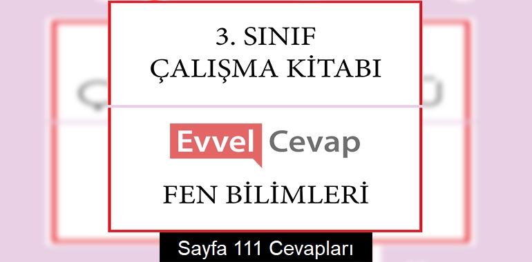 3. Sınıf Çalışma Kitabı Fen Bilimleri Cevapları Sayfa 111