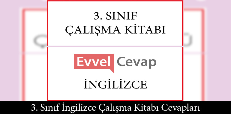 3. Sınıf İngilizce Çalışma Kitabı Cevapları