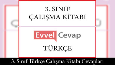 3. Sınıf Türkçe Çalışma Kitabı Cevapları