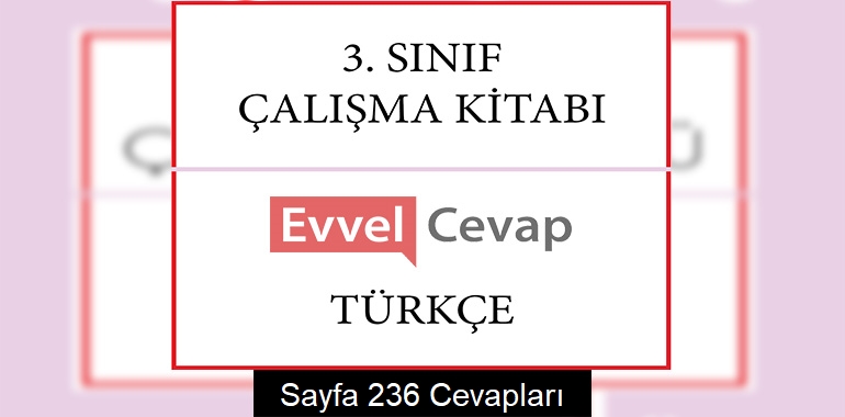 3. Sınıf Türkçe Çalışma Kitabı Cevapları Sayfa 236