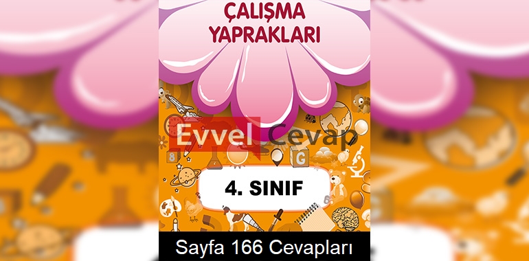 4. Sınıf Çalışma Yaprakları Cevapları Sayfa 166