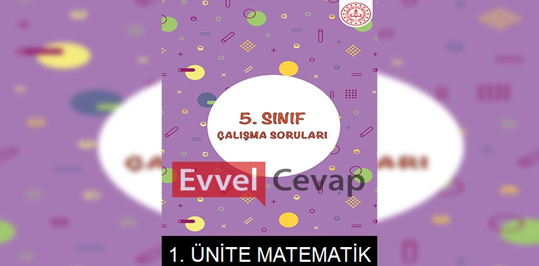 5. Sınıf Matematik Çalışma Soruları 1. Ünite Cevapları