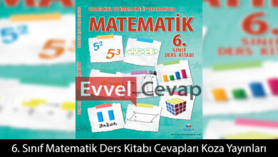 6. Sınıf Matematik Ders Kitabı Cevapları Koza Yayınları