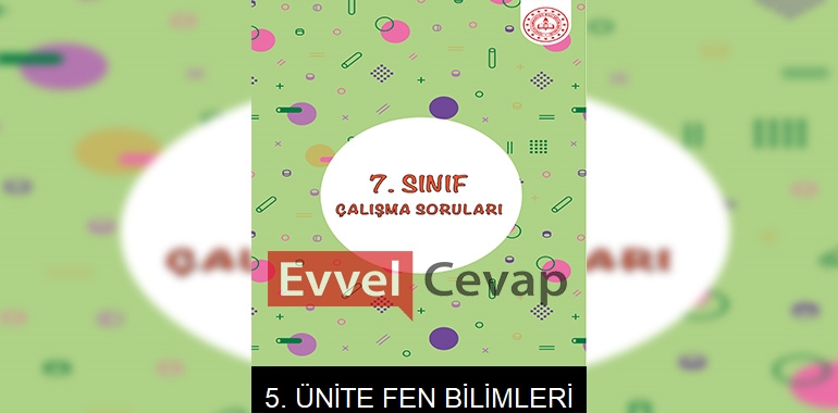 7. Sınıf Fen Bilimleri Çalışma Soruları 5. Ünite Cevapları