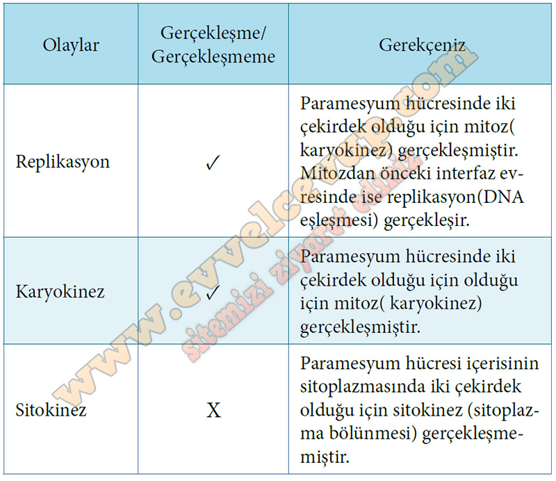 10 S n f Biyoloji Kavram retimi Kitab Cevaplar Sayfa 26 10-s-n-f-biyoloji-kavram-retimi-kitab-cevaplar-sayfa-26