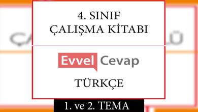 4. Sınıf Türkçe Çalışma Kitabı 1. ve 2. Tema Cevapları
