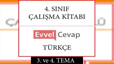 4. Sınıf Türkçe Çalışma Kitabı 3. ve 4. Tema Cevapları