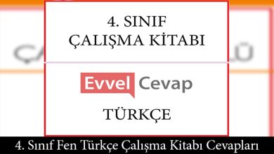4. Sınıf Türkçe Çalışma Kitabı Cevapları