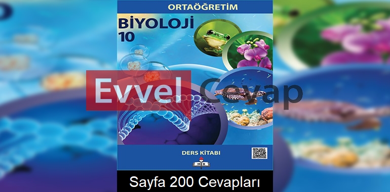 10. Sınıf Biyoloji Meb Yayınları Ders Kitabı Cevapları Sayfa 200 