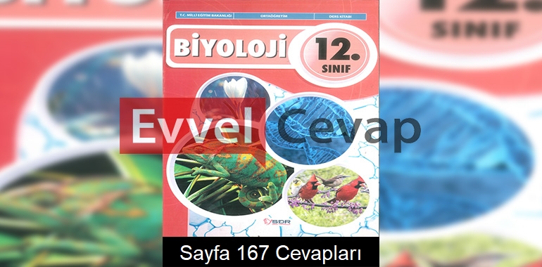 12. Sınıf Biyoloji Ders Kitabı Cevapları SDR Dikey Yayınları Sayfa 167 