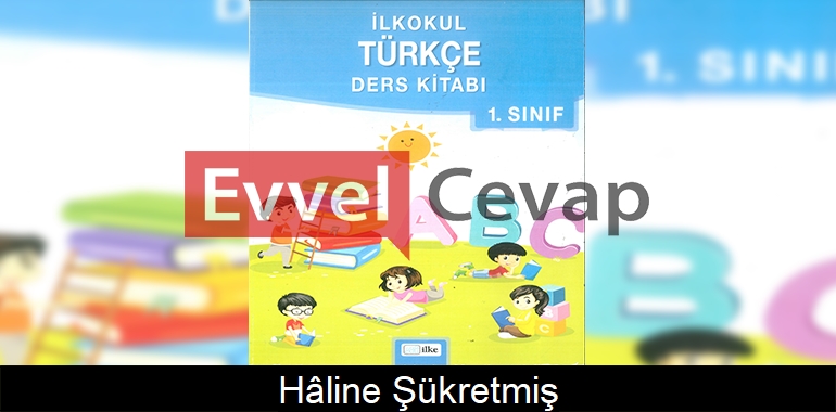 Hâline Şükretmiş Metni Etkinlik Cevapları (1. Sınıf Türkçe) 