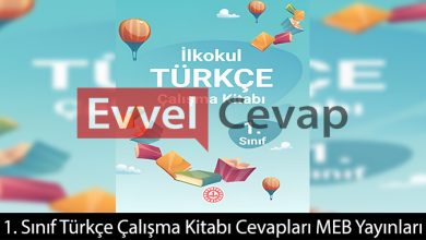 1. Sınıf Türkçe Çalışma Kitabı Cevapları