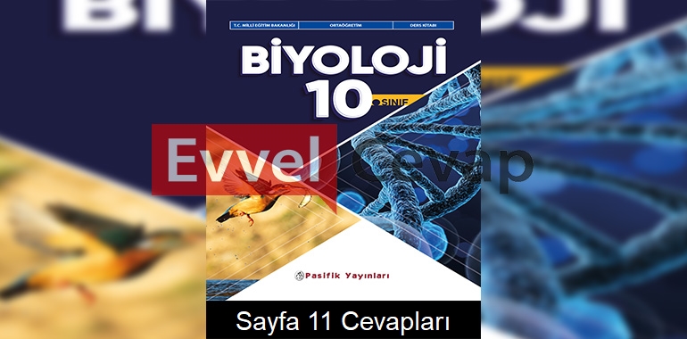 10. Sınıf Biyoloji Ders Kitabı Cevapları Pasifik Yayınları Sayfa 11 