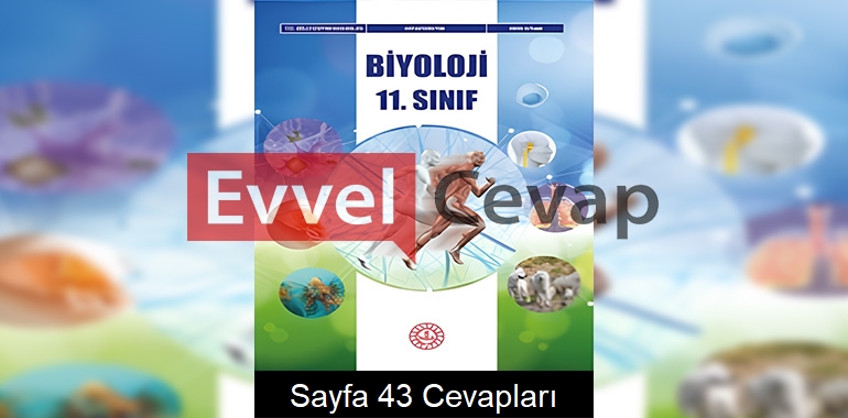 11. Sınıf Biyoloji Ders Kitabı Cevapları Meb Yayınları Sayfa 43 
