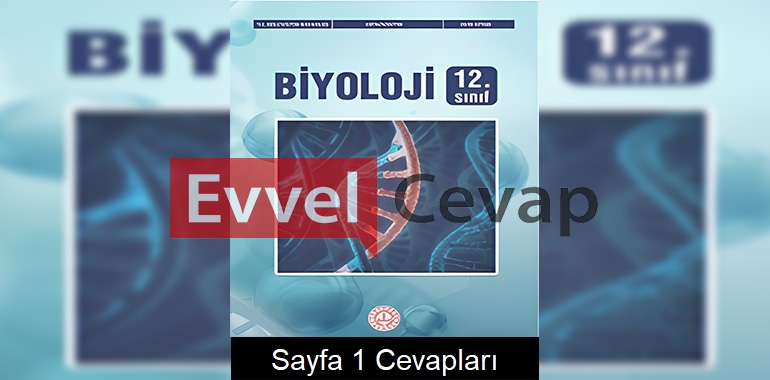 12. Sınıf Biyoloji Ders Kitabı Cevapları Meb Yayınları Sayfa 1 