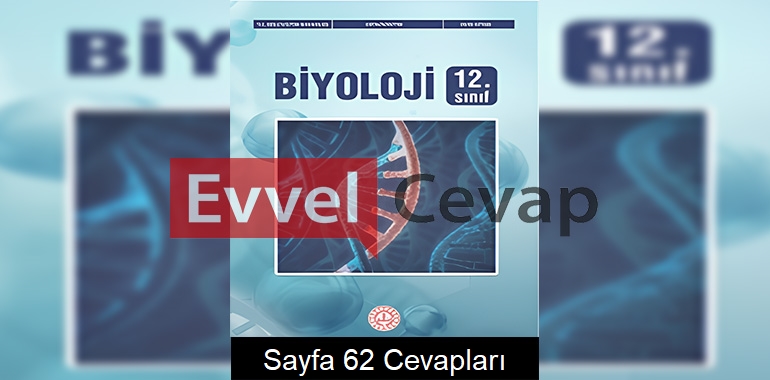 12. Sınıf Biyoloji Ders Kitabı Cevapları Meb Yayınları Sayfa 62 