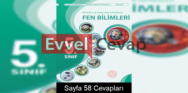 5. Sınıf Fen Bilimleri Kitabı Cevapları Meb Yayınları Sayfa 58 