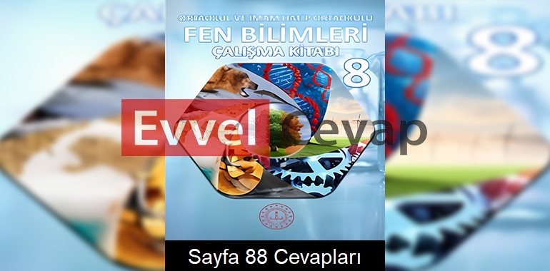 8. Sınıf Fen Bilimleri Çalışma Kitabı Cevapları Meb Yayınları Sayfa 88 