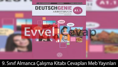 9. Sınıf Almanca Çalışma Kitabı Cevapları Meb Yayınları