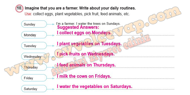 Imagine that you are a farmer. Write about your daily routines. - Evvel ...