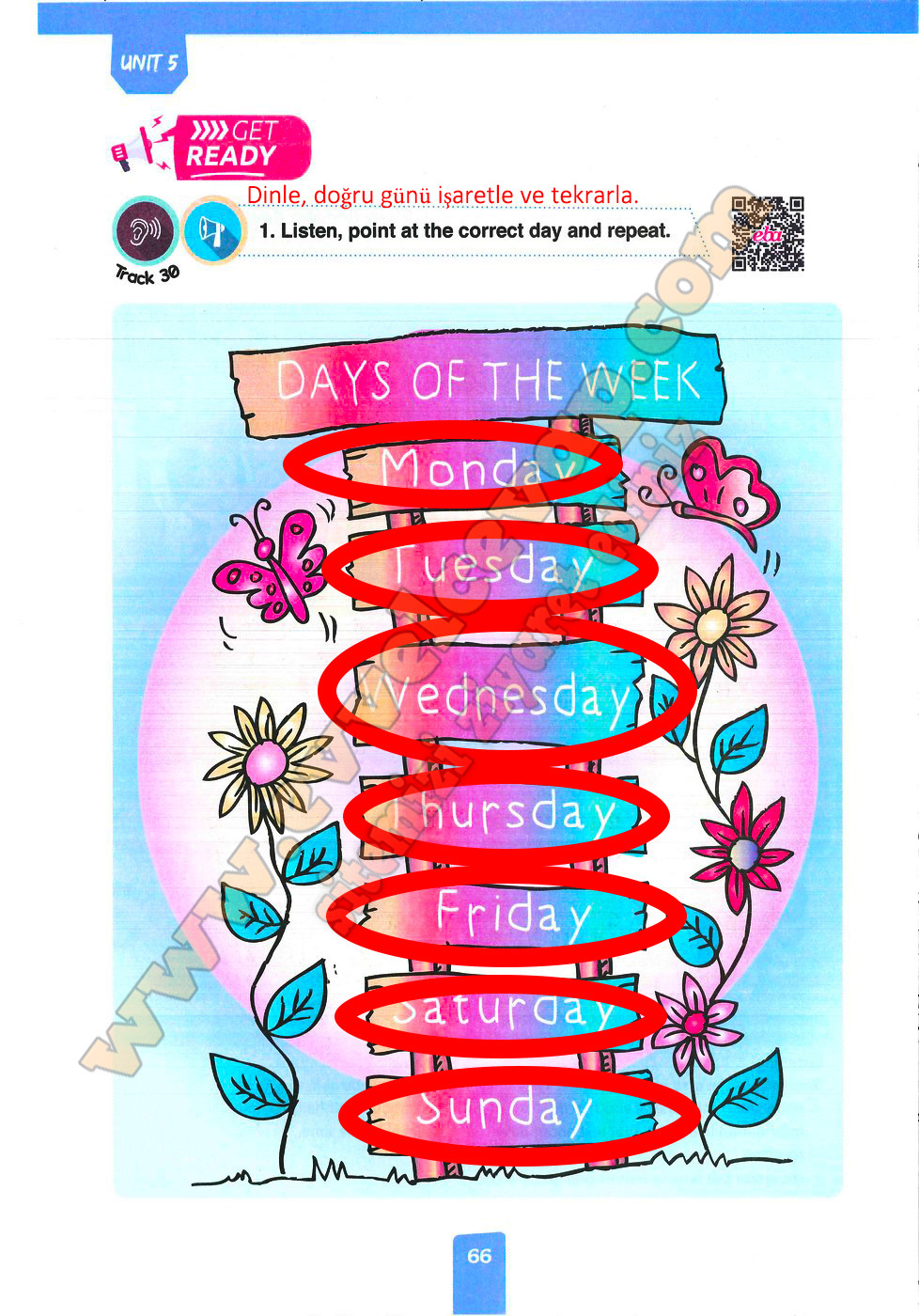 Listen, point at the correct day and repeat.