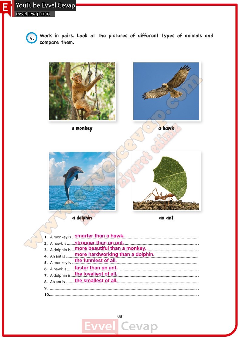 10-sinif-ingilizce-calisma-kitabi-cevabi-cem-sayfa-66