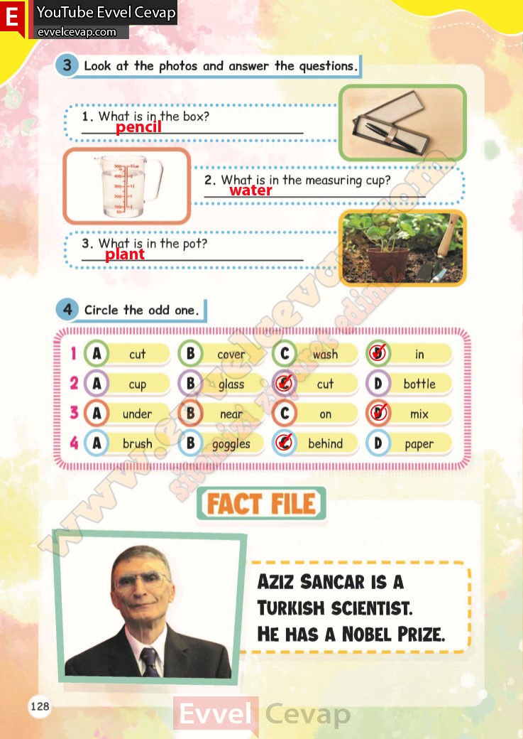 4-sinif-ingilizce-calisma-kitabi-cevabi-meb-sayfa-128