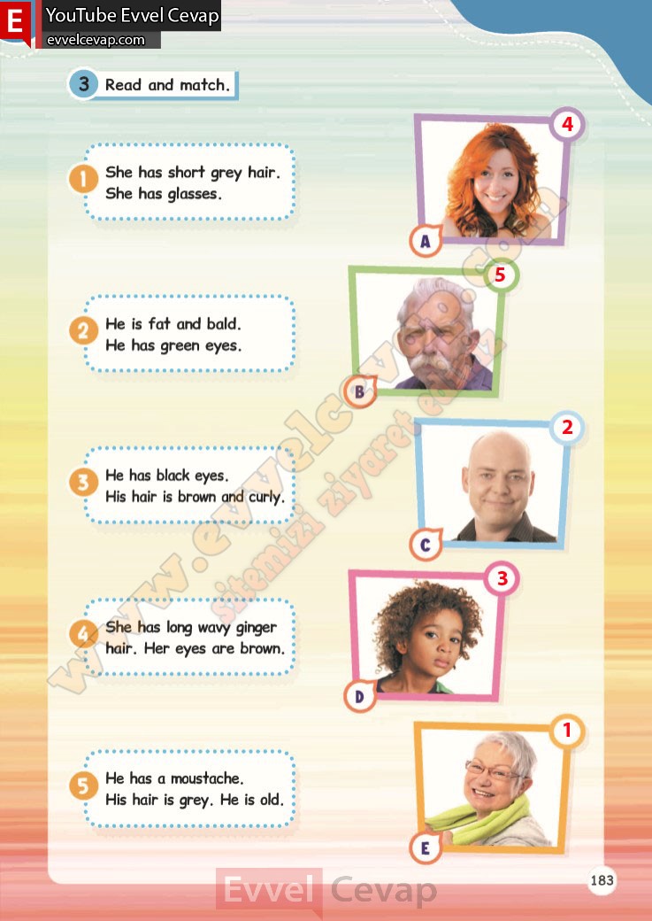 4-sinif-ingilizce-calisma-kitabi-cevabi-meb-sayfa-183