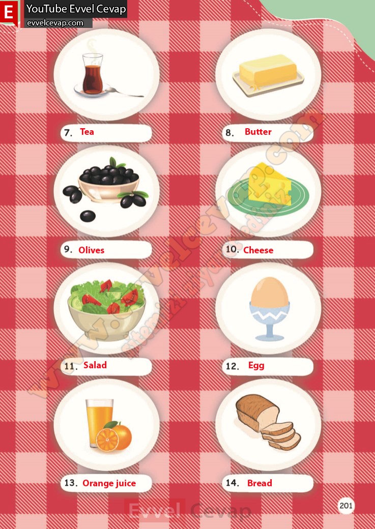 4-sinif-ingilizce-calisma-kitabi-cevabi-meb-sayfa-201