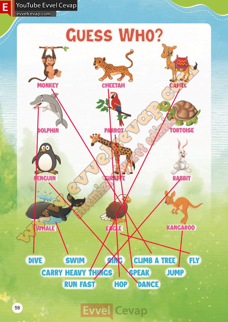 4-sinif-ingilizce-calisma-kitabi-cevabi-meb-sayfa-58