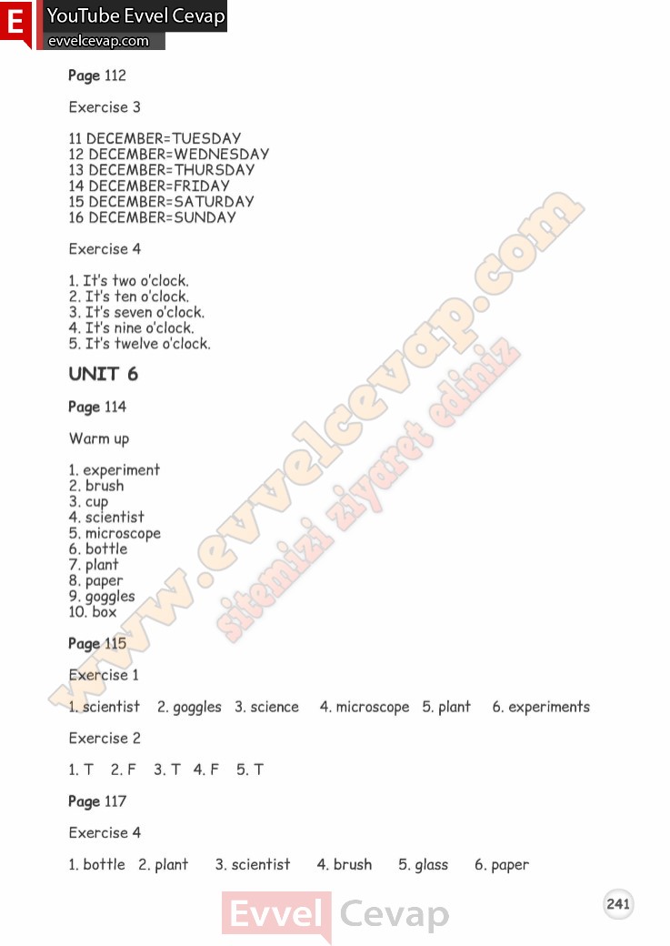4-sinif-ingilizce-calisma-kitabi-cevaplari-meb-sayfa-241