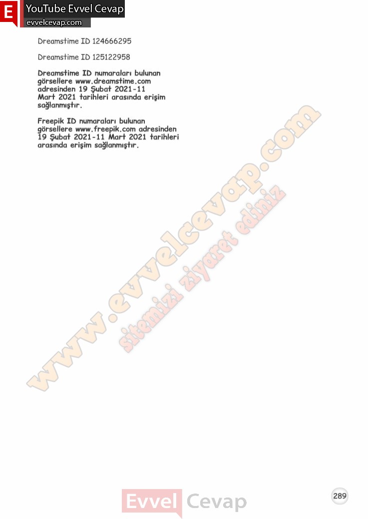 4-sinif-ingilizce-calisma-kitabi-cevaplari-meb-sayfa-289