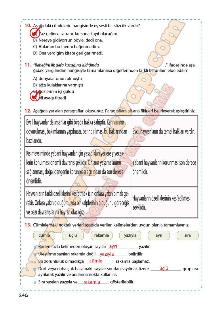 5-sinif-turkce-ders-kitabi-cevaplari-koza-yayinlari-sayfa-246