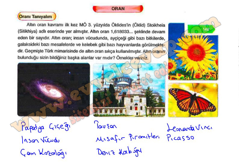 6-sinif-matematik-ders-kitabi-cevaplari-ata-yayinlari-sayfa-146