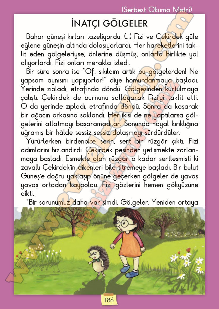 2-sinif-turkce-ders-kitabi-cevaplari-meb-yayinlari-sayfa-186