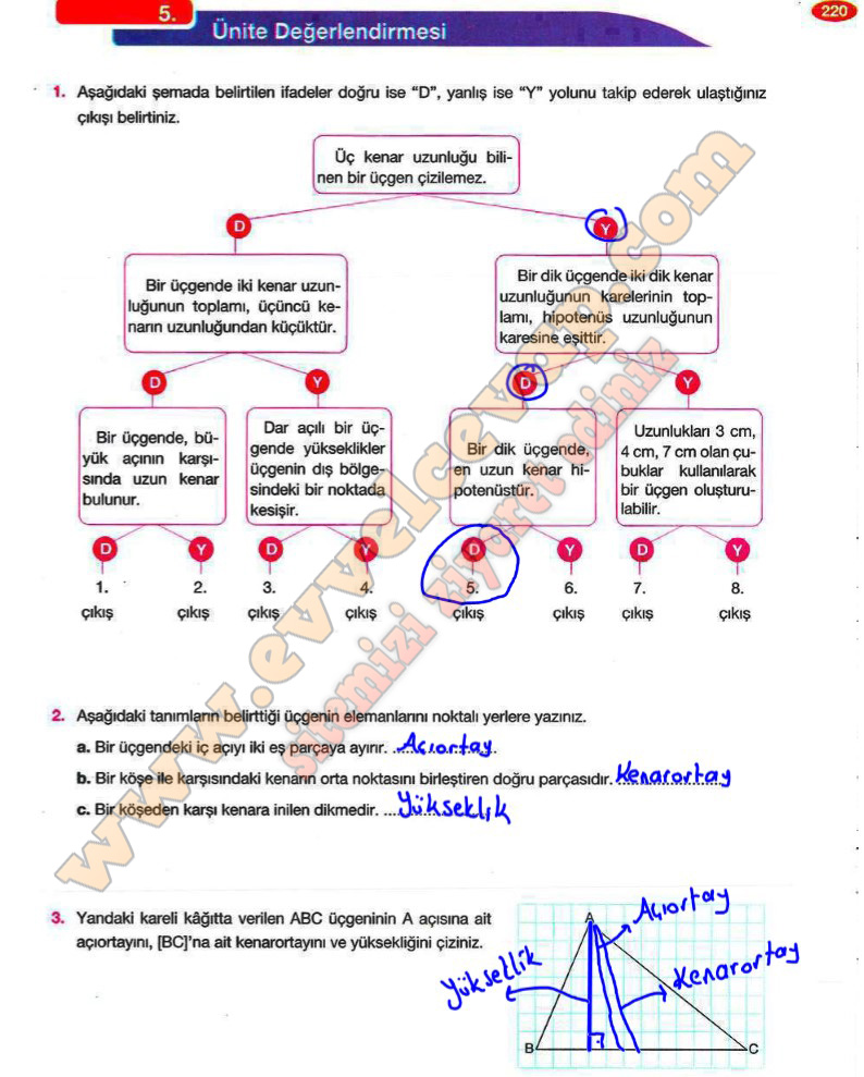 8-sinif-matematik-ders-kitabi-cevaplari-berkay-yayinlari-sayfa-220