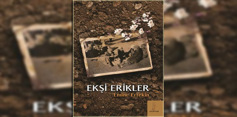 Ekşi Erikler Kitap özeti Emine Ertekin