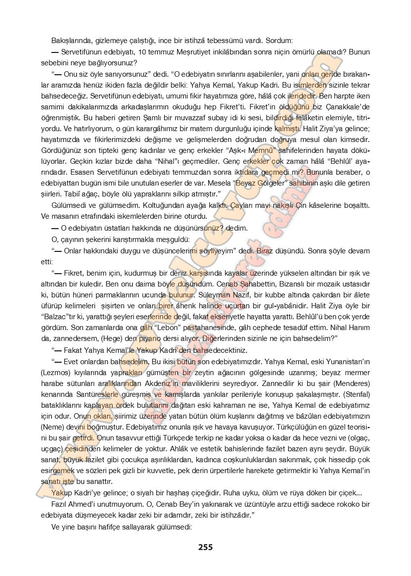 11-sinif-turk-dili-ve-edebiyati-ders-kitabi-cevabi-cem-yayinlari-sayfa-255
