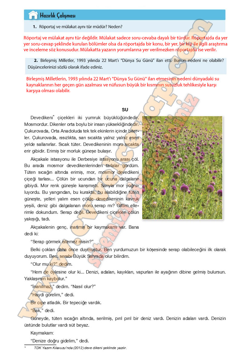 11-sinif-turk-dili-ve-edebiyati-ders-kitabi-cevabi-cem-yayinlari-sayfa-264
