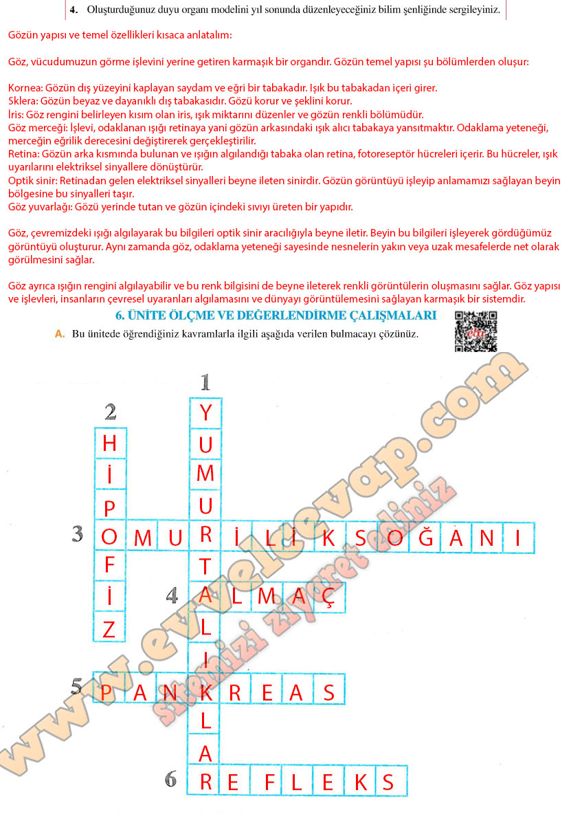 6-sinif-fen-bilimleri-ders-kitabi-cevaplari-adim-adim-matbaa-yayinlari-sayfa-226