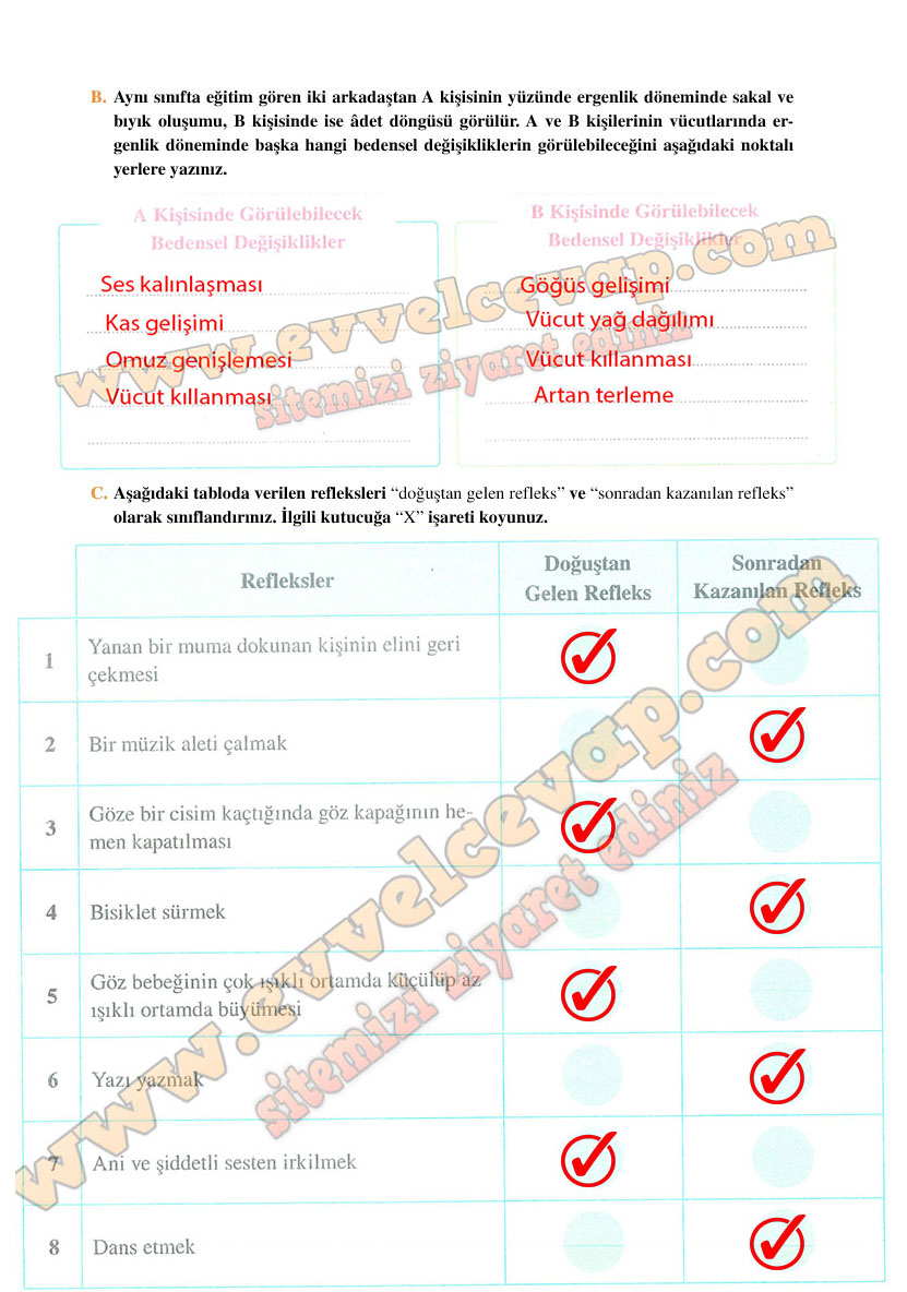 6-sinif-fen-bilimleri-ders-kitabi-cevaplari-adim-adim-matbaa-yayinlari-sayfa-227
