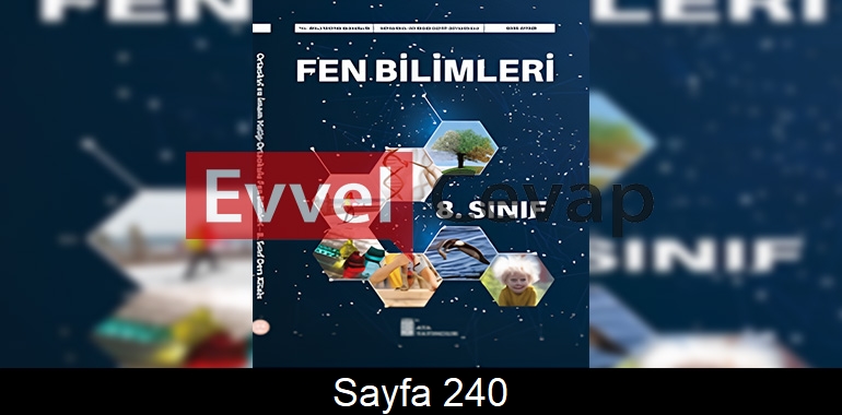 8. Sınıf Ata Yayınları Fen Bilimleri Ders Kitabı Cevapları Sayfa 240