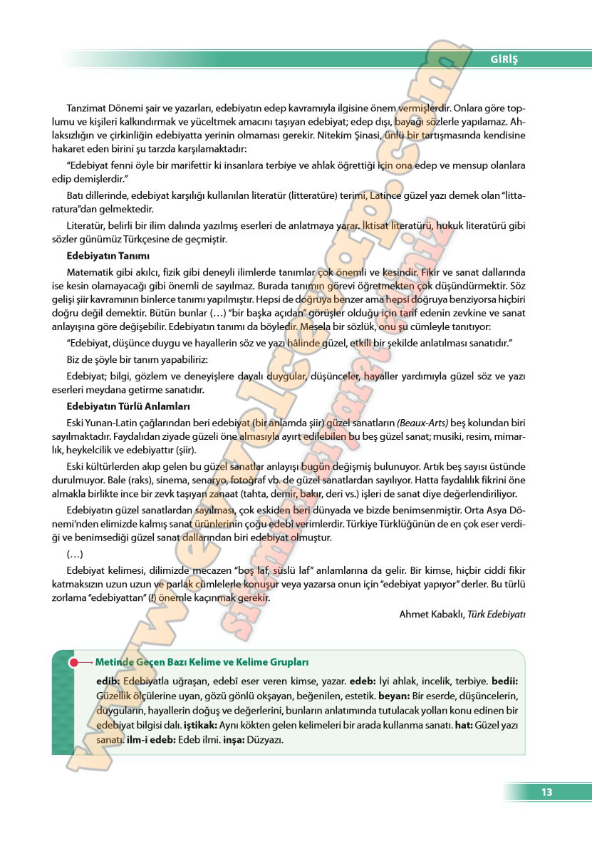9-sinif-turk-dili-ve-edebiyati-ders-kitabi-cevabi-odev-yayinlari-sayfa-13