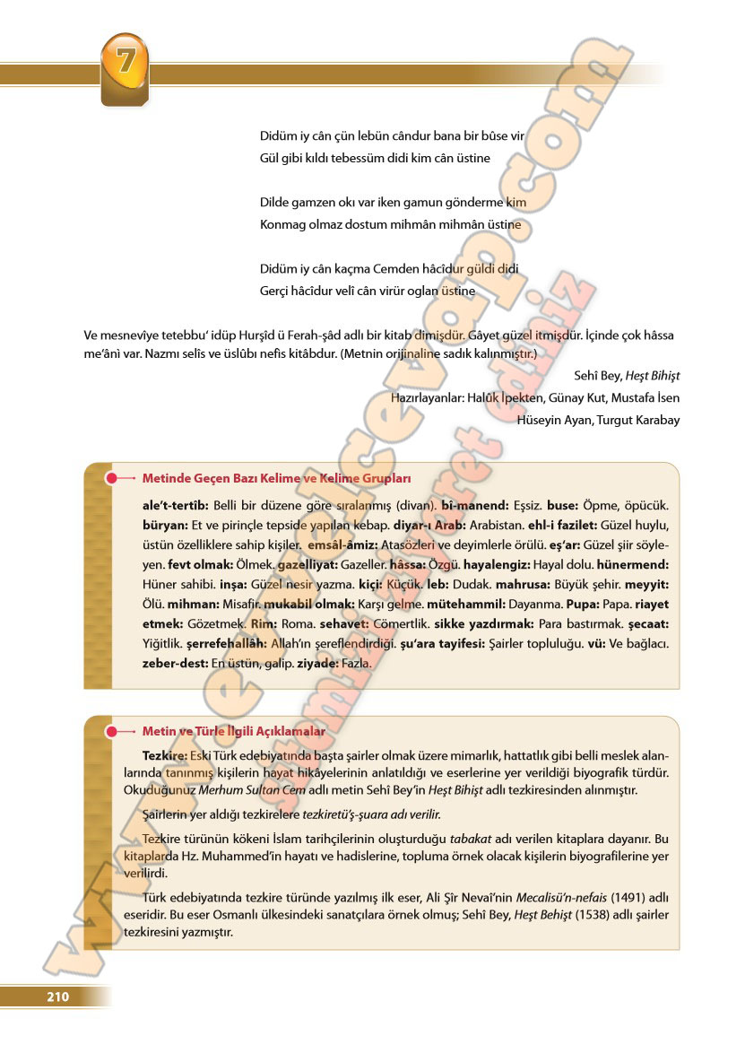 9-sinif-turk-dili-ve-edebiyati-ders-kitabi-cevabi-odev-yayinlari-sayfa-210